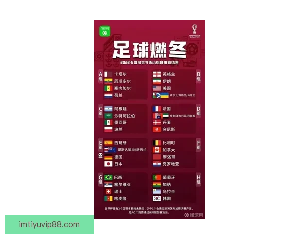 世界杯足球竞猜赔率分析及投注策略解析助力您赢得更多回报